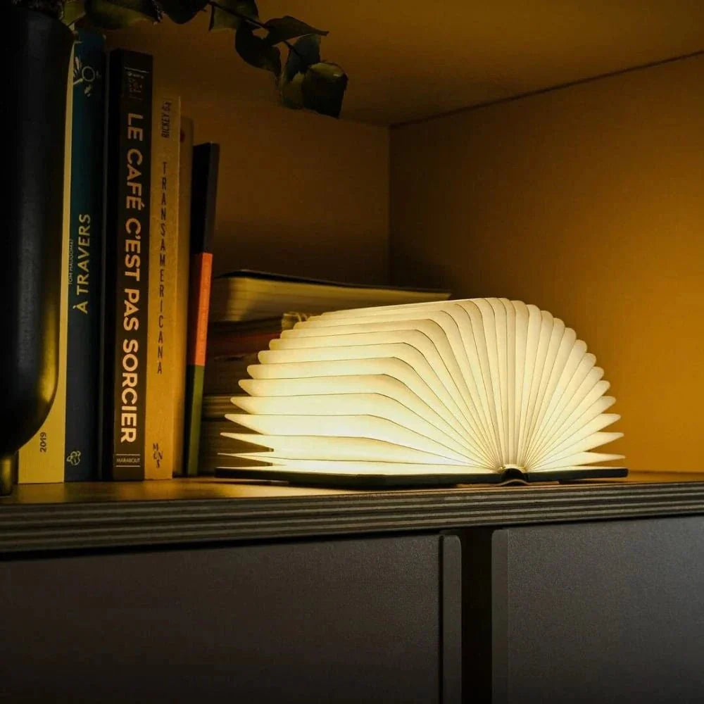 Lumibook Leselampe